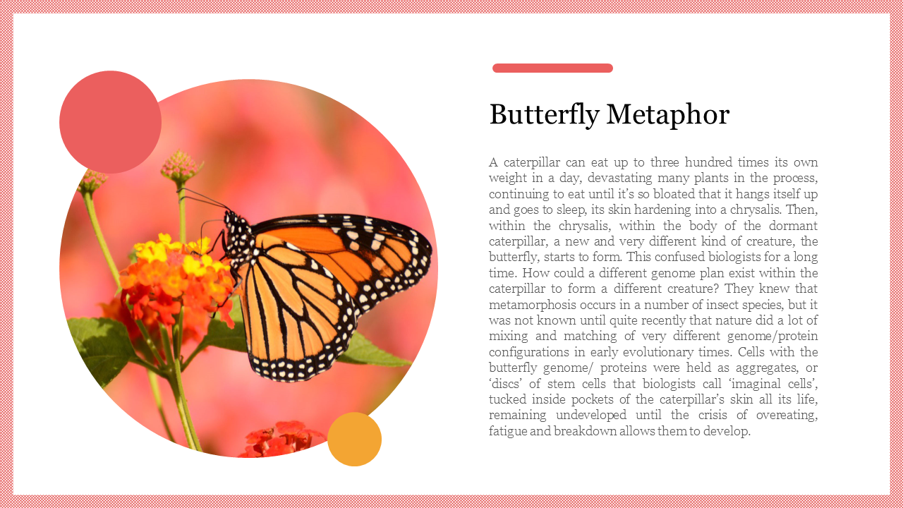 Creative Butterfly Metaphor PowerPoint Presentation Slide